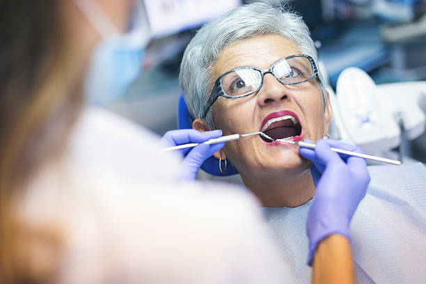 Best Preventive Dentistry  in Paw Paw Lake, MI